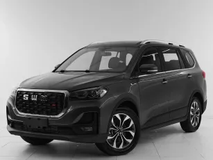 SWM G05 Pro 1.5 AMT (139 л.с.)  Family 3 (10.2024 — 04.2025)  - миниатюра 12
