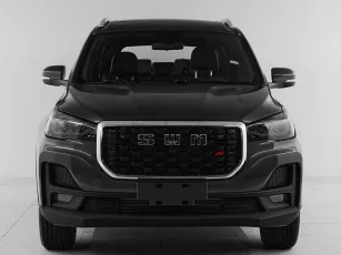 SWM G05 Pro 1.5 AMT (139 л.с.)  Family 3 (10.2024 — 04.2025)  - миниатюра 21